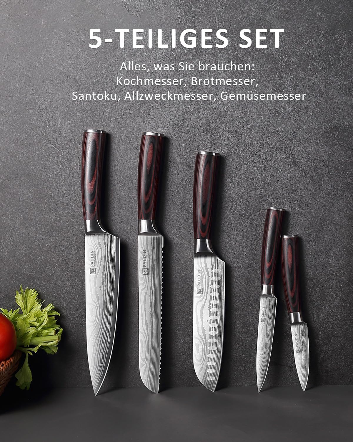 PAUDIN NS5 Universal Classic 5-PC Knife Set - Paudin DE