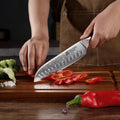PAUDIN Cloud Premium Damascus Knife Set 3PC - Paudin DE