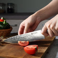 Paudin C1 Cloud Damascus Steel 8-Inch Chef Knife - Paudin Store