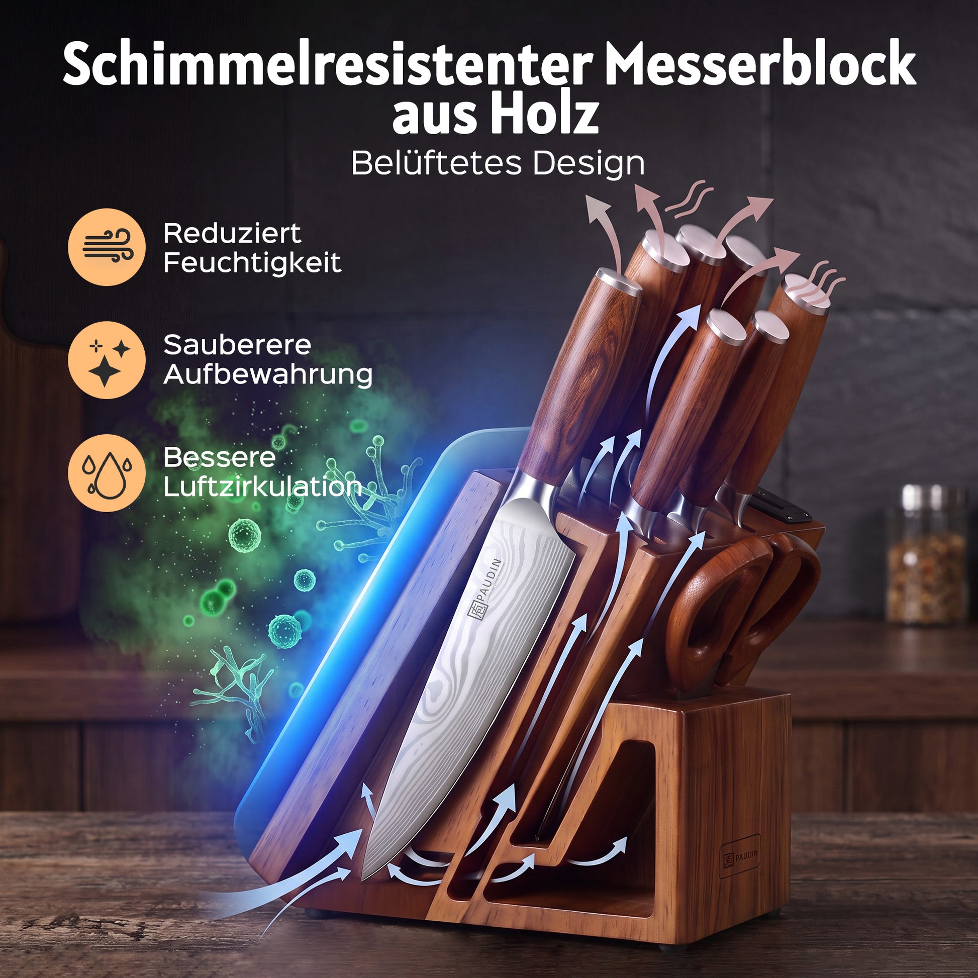 PAUDIN 10-teiliges Küchenmesser-Set mit Messerblock & integriertem Schärfer - Paudin DE