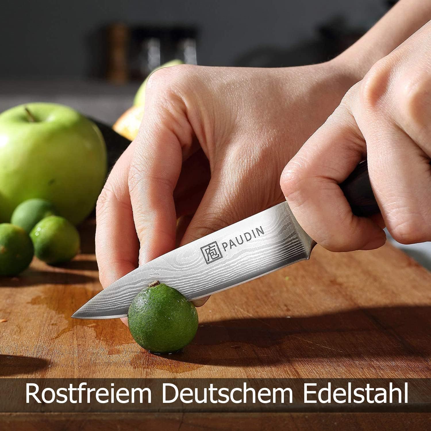 PAUDIN Universal Classic 3.5" Paring Knife - Paudin DE
