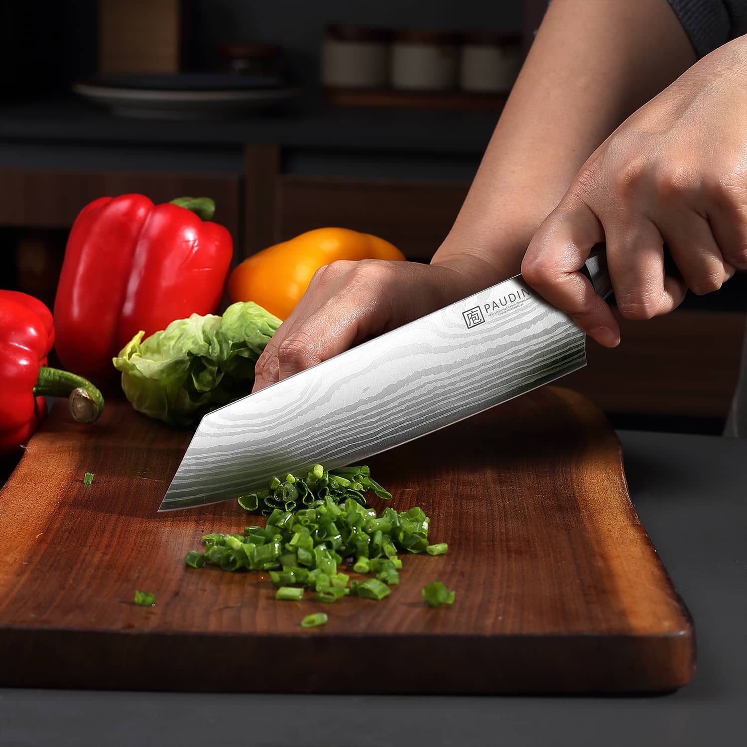 PAUDIN Universal Classic 8” Chef Knife - High Carbon Steel - Paudin DE